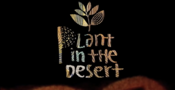 PLANT IN THE DESERT